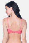 Amante Padded Non Wired Full Coverage Lace Bra - Sunkist Coral — thumbnail 2